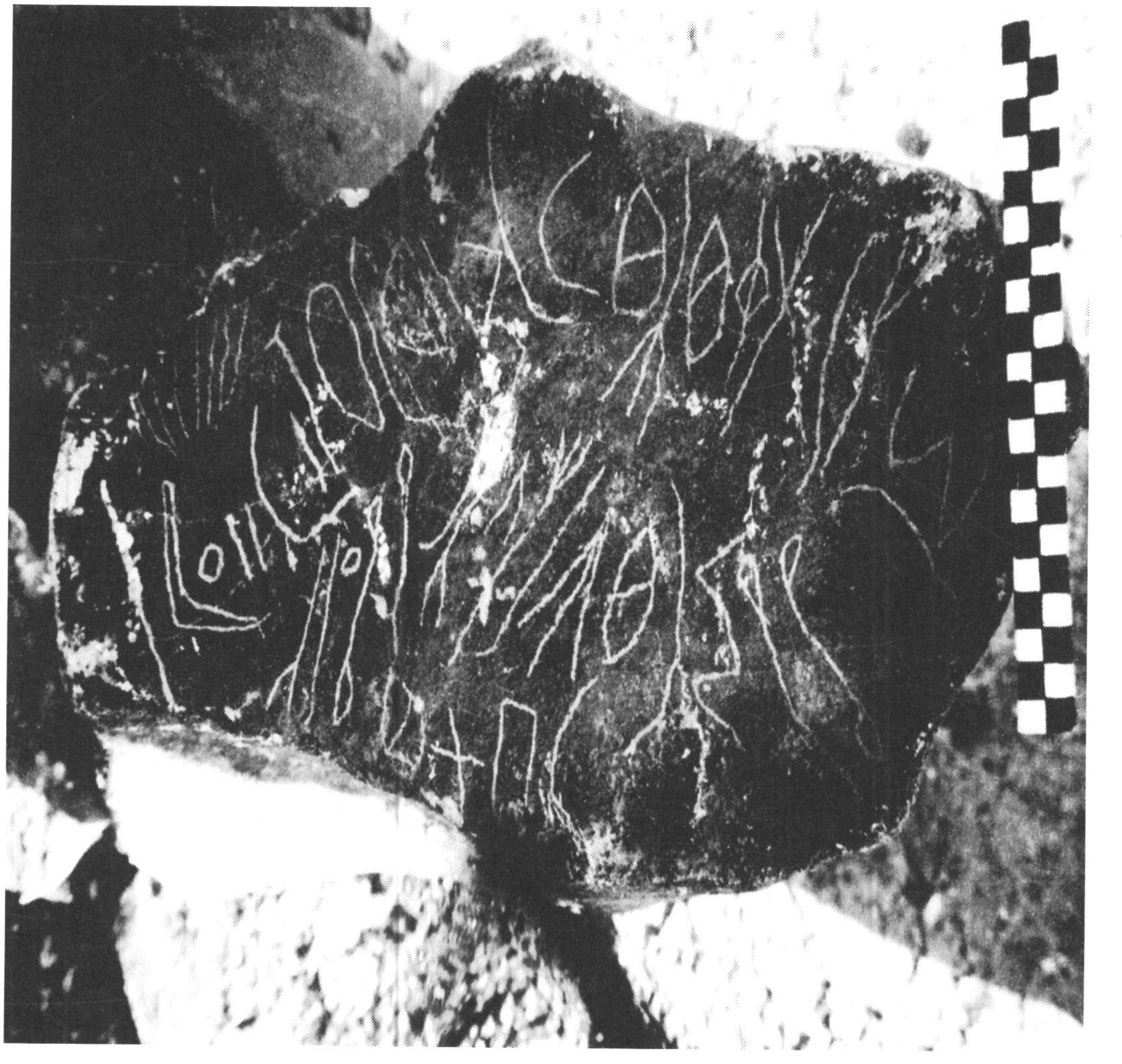 inscription of siglum SHNS 4