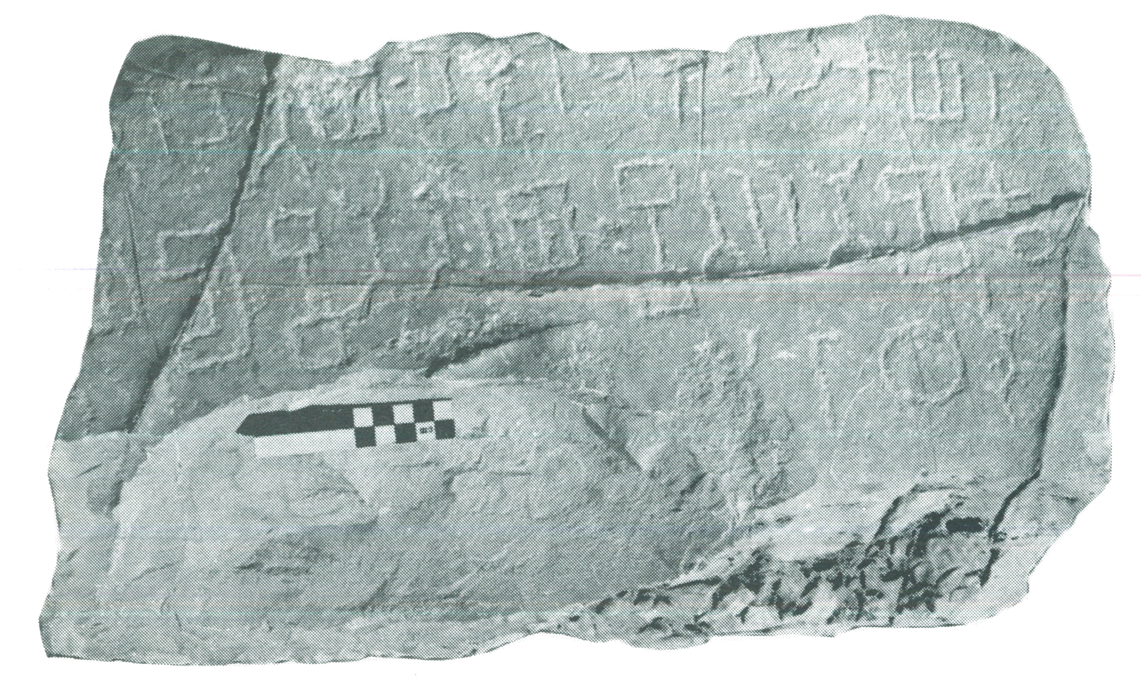 inscription of siglum SIAM 41