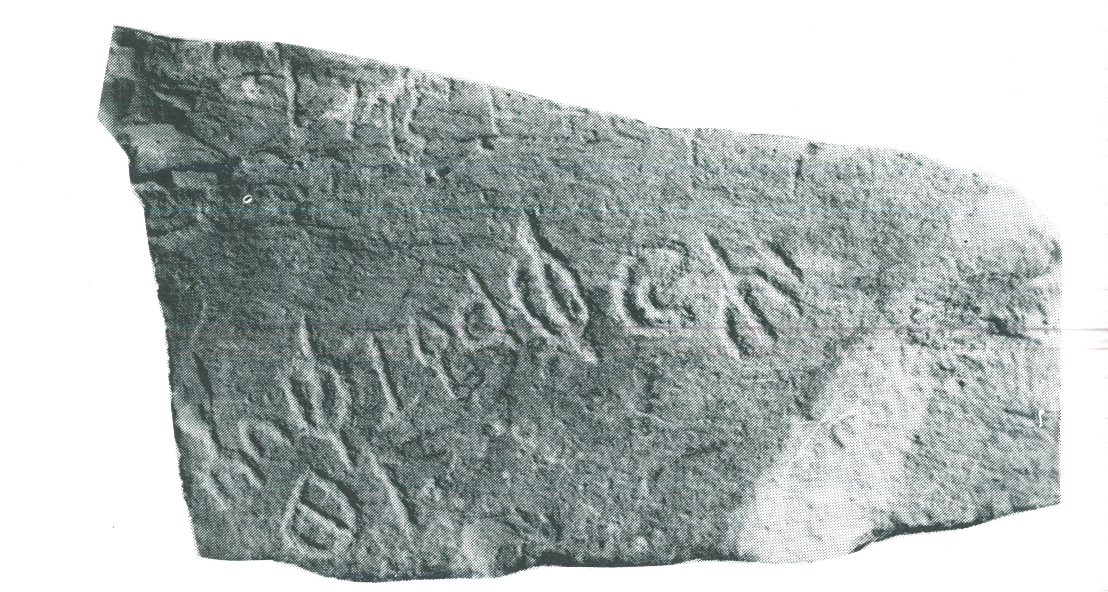 inscription of siglum SIAM 43