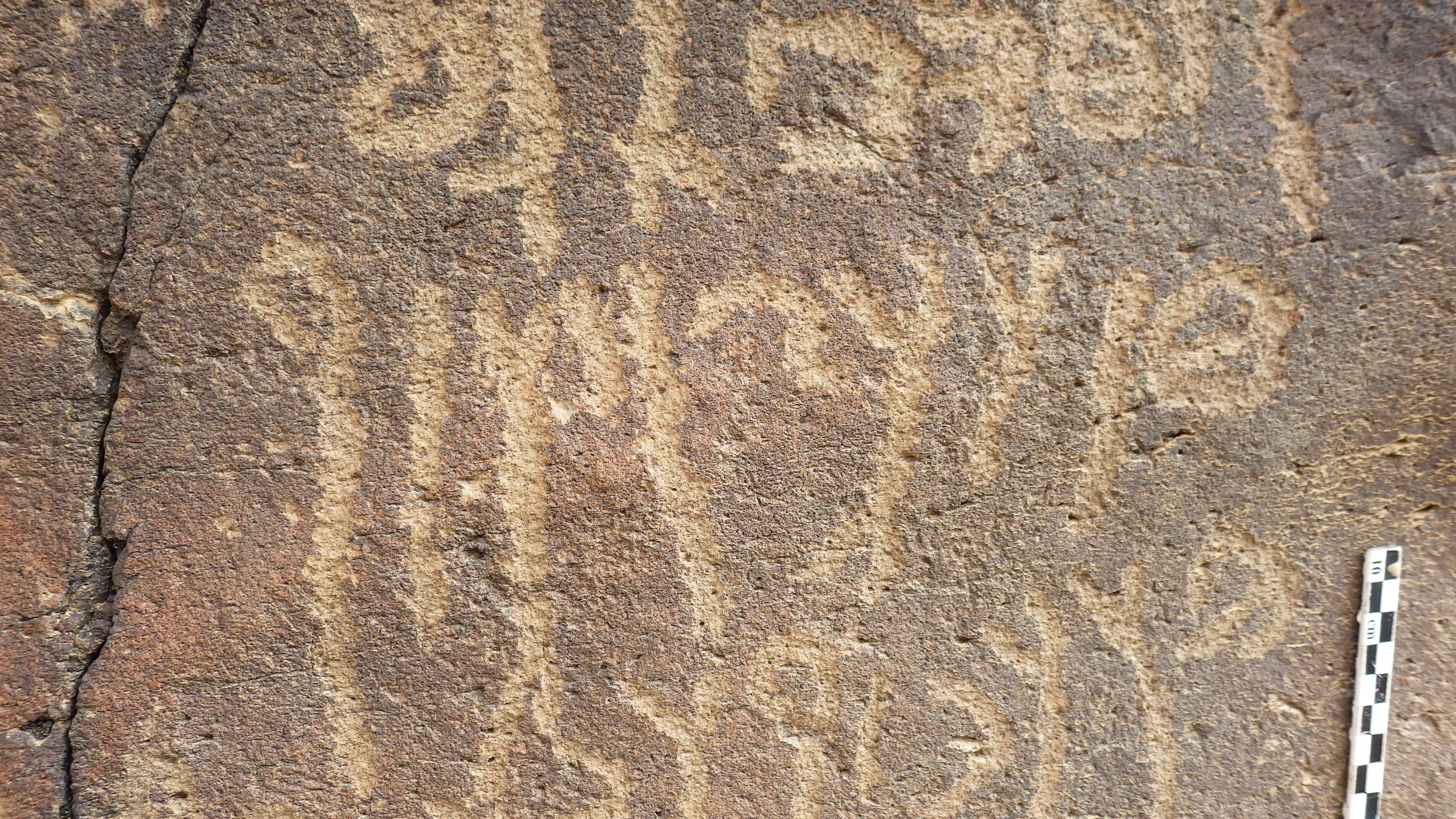 inscription of siglum SIJ 137