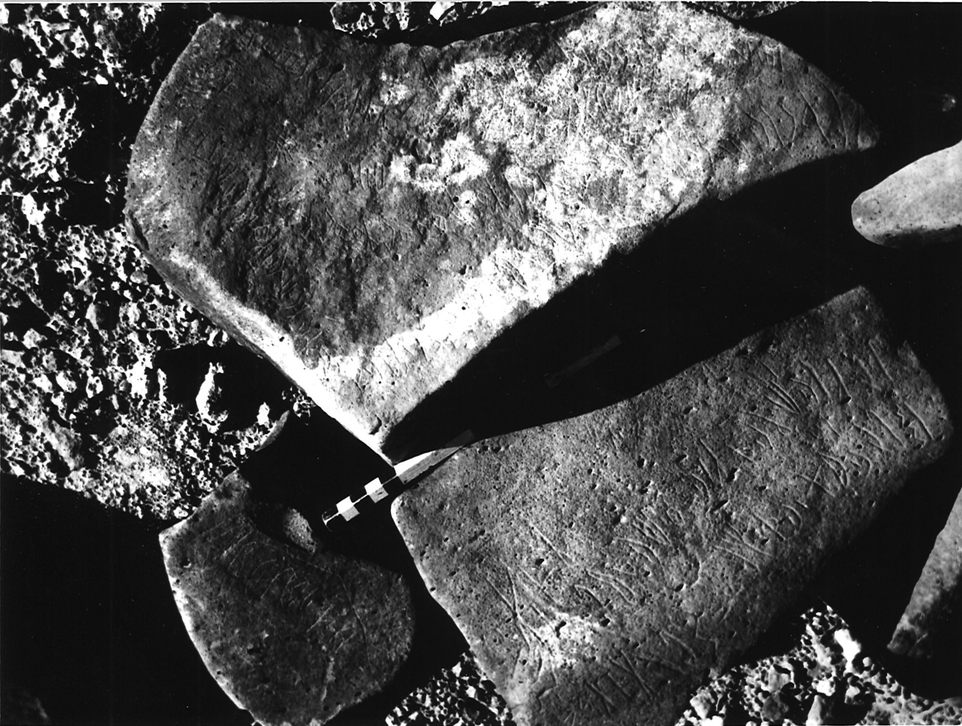 inscription of siglum SIJ 288+289