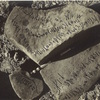 inscription of siglum SIJ 288+289