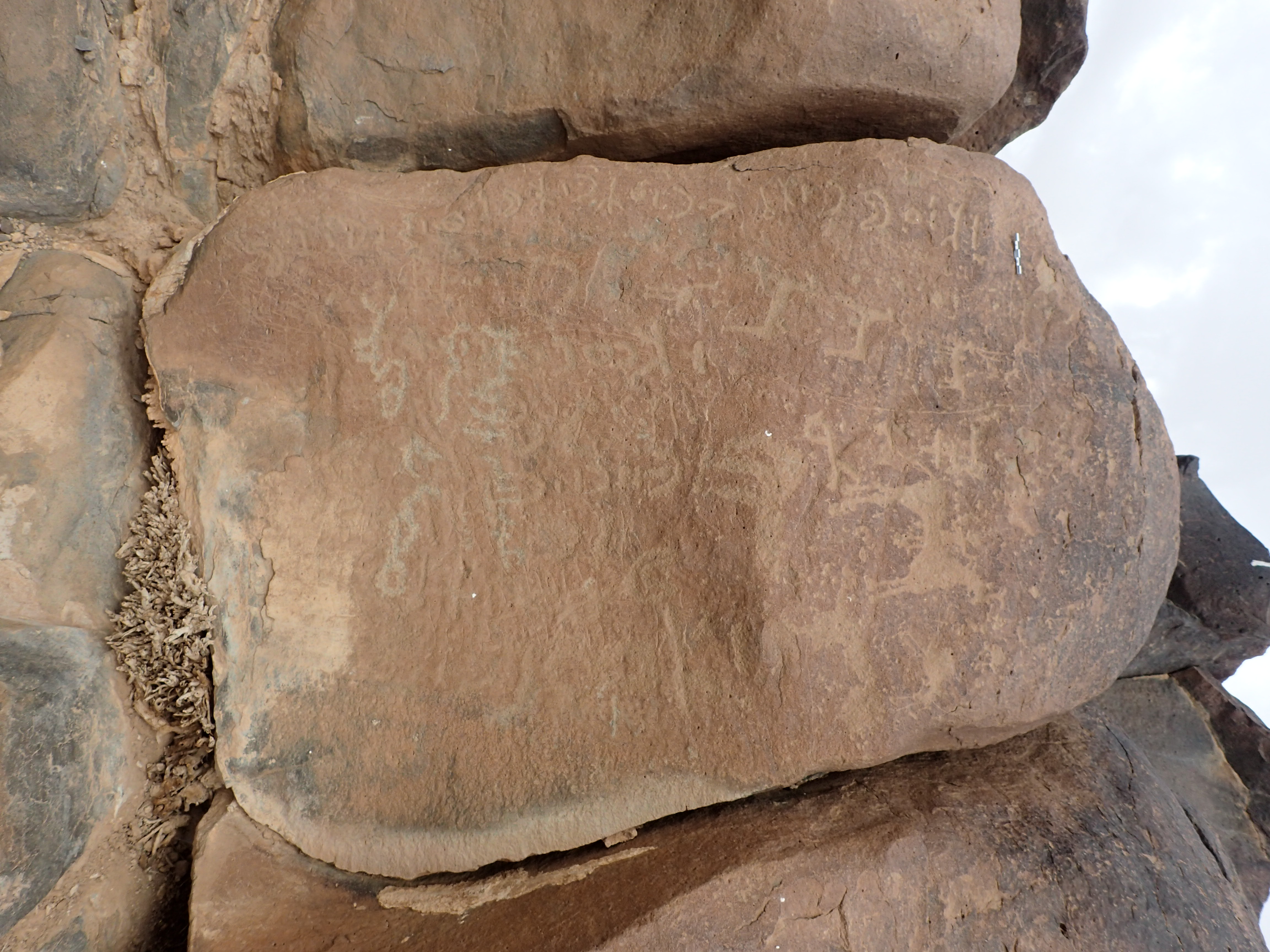 inscription of siglum SIJ 356.1