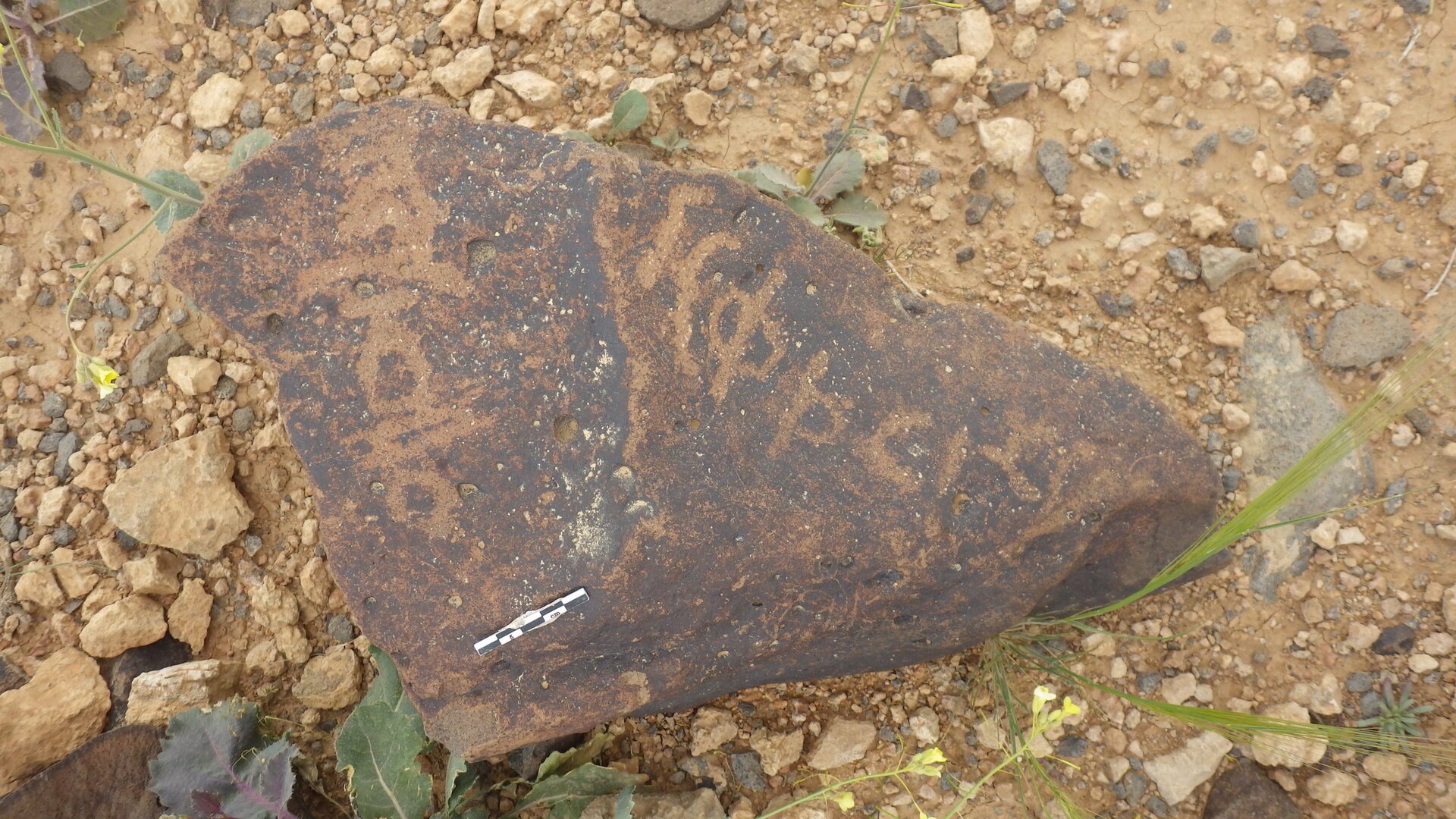 inscription of siglum SIJ 533