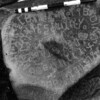 inscription of siglum SIJ 688