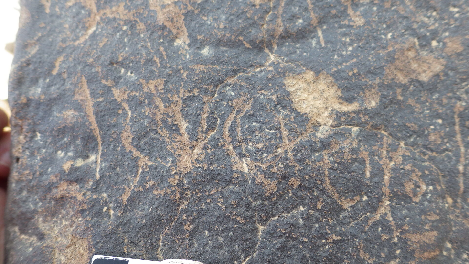 inscription of siglum SIJ 734