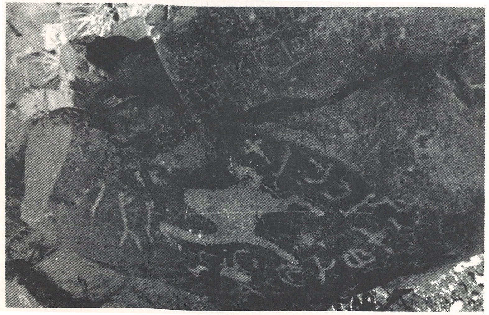 inscription of siglum SIJ 781