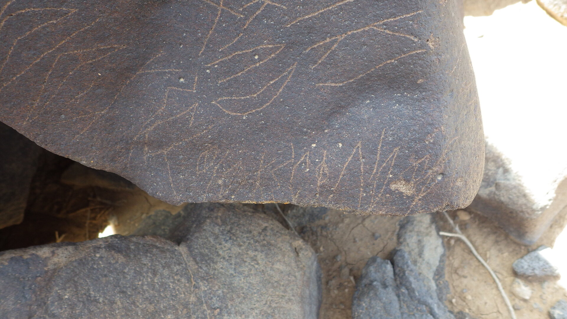 inscription of siglum SIJ 788.1