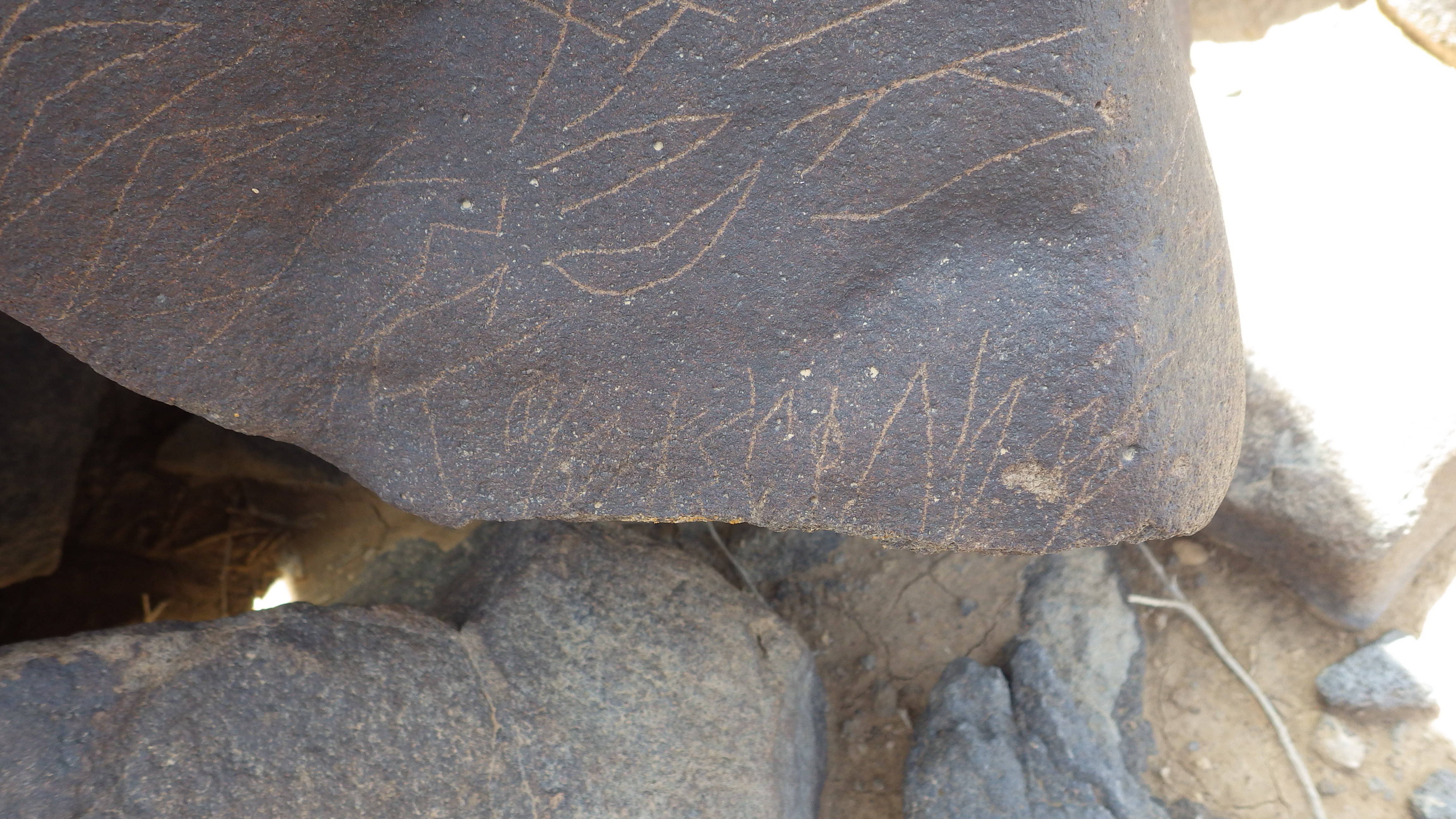 inscription of siglum SIJ 788.1