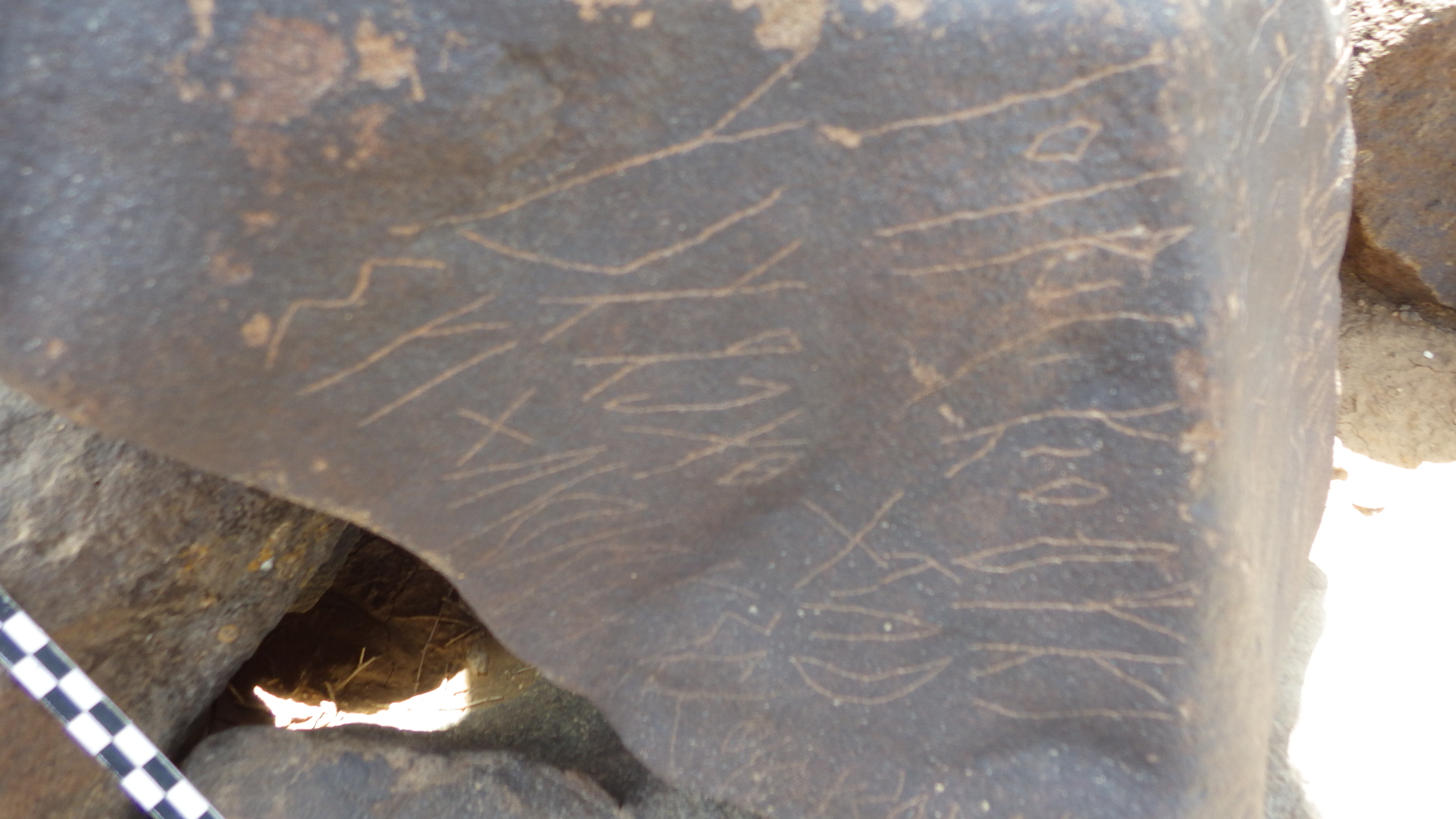 inscription of siglum SIJ 788.1