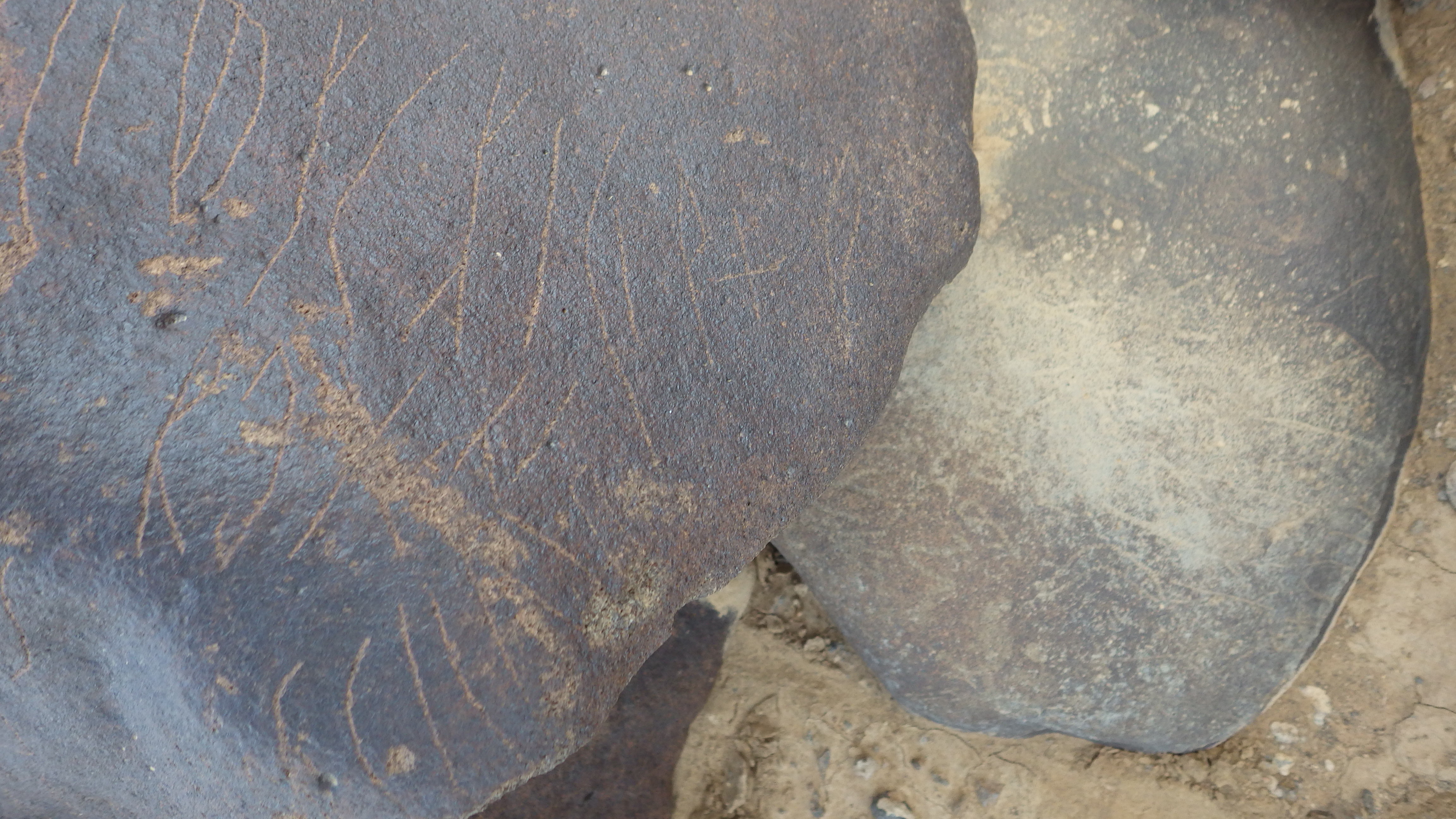 inscription of siglum SIJ 788.1