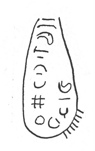 inscription of siglum SIJ 817