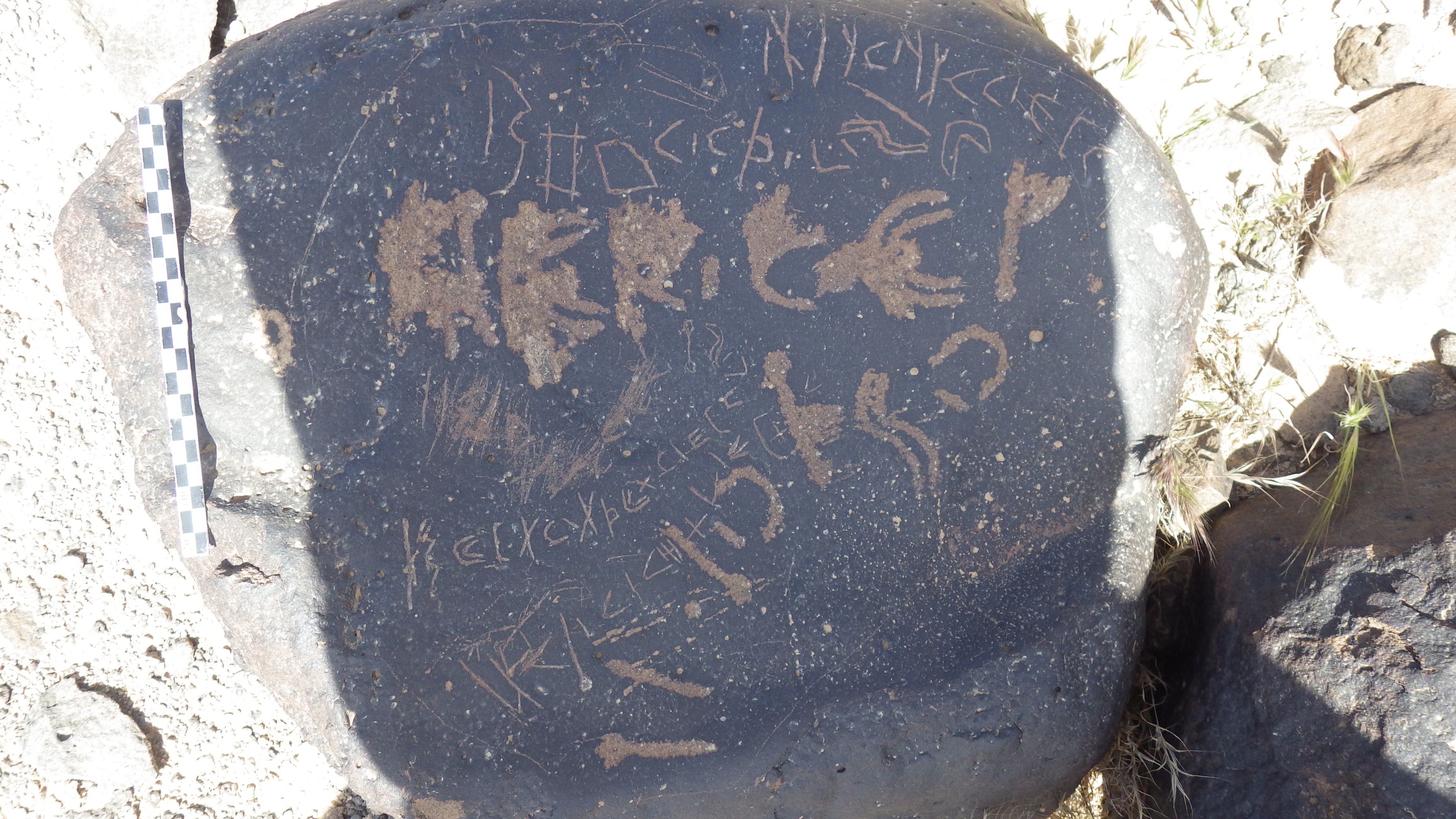 inscription of siglum SIJ 879