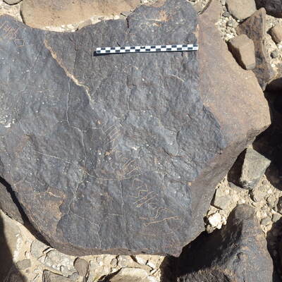 inscription of siglum SIJ 893
