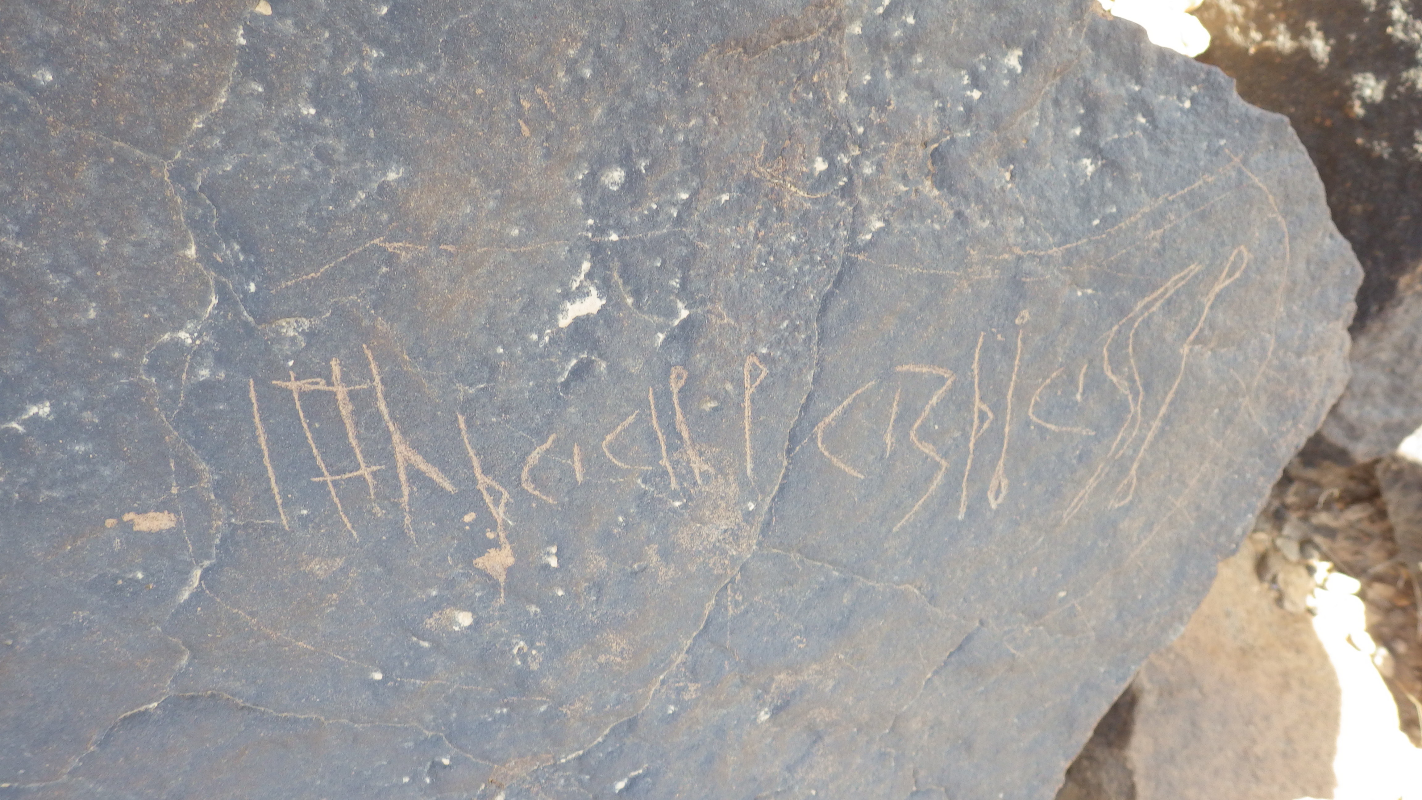 inscription of siglum SIJ 893
