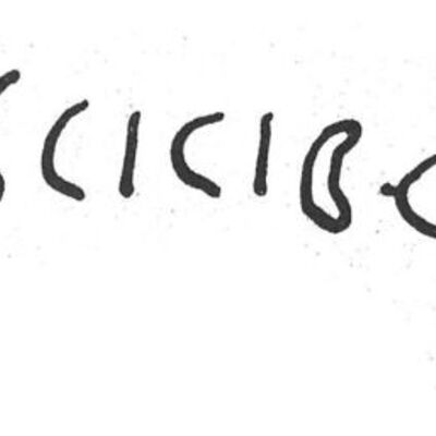 inscription of siglum SIJ 895