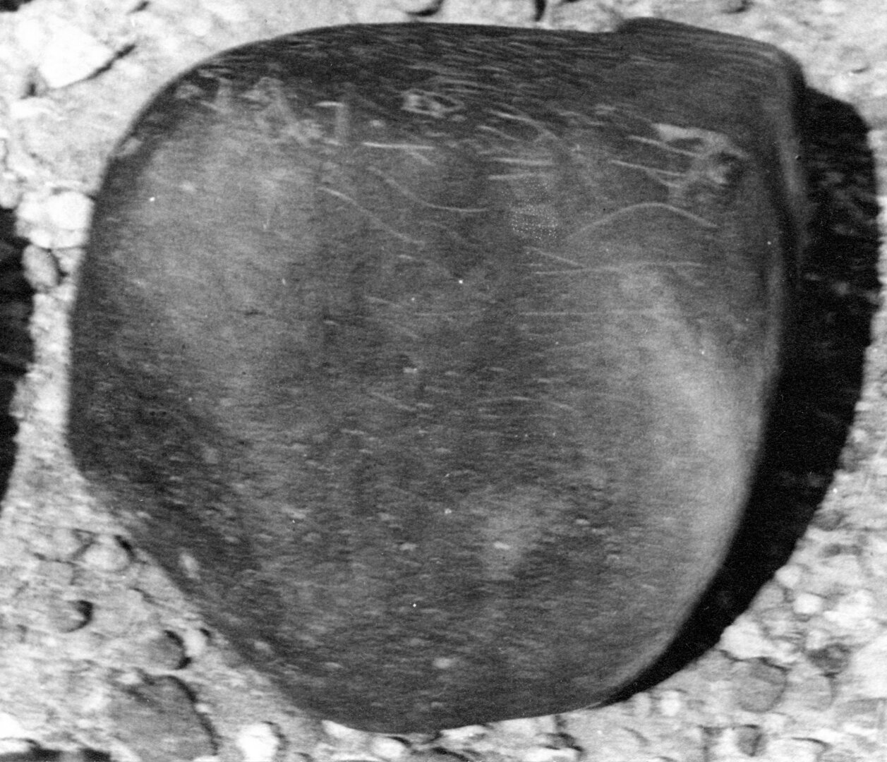 inscription of siglum SIJ Extra 44