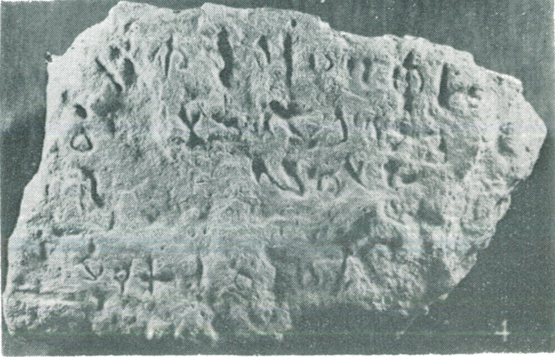 inscription of siglum SIWH 6