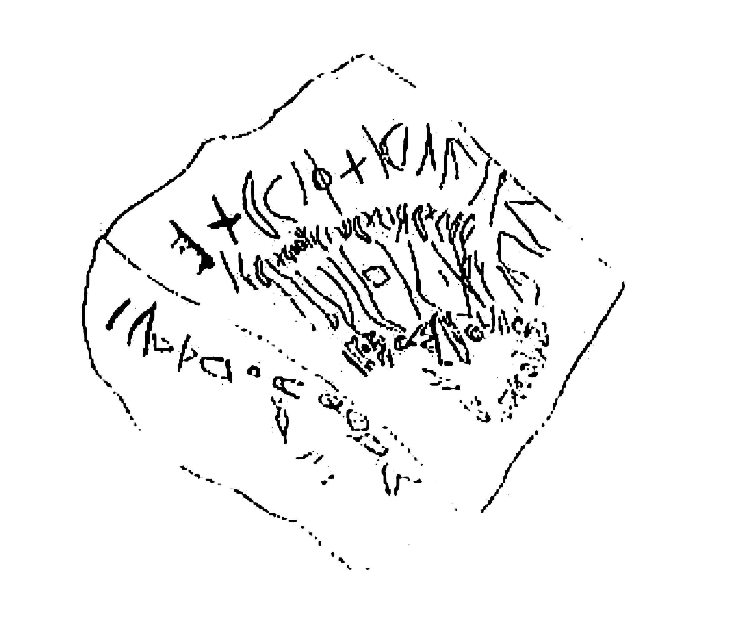 inscription of siglum SSWS 181