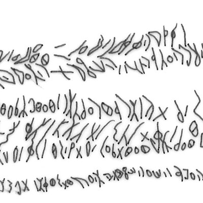 inscription of siglum SSWS 193