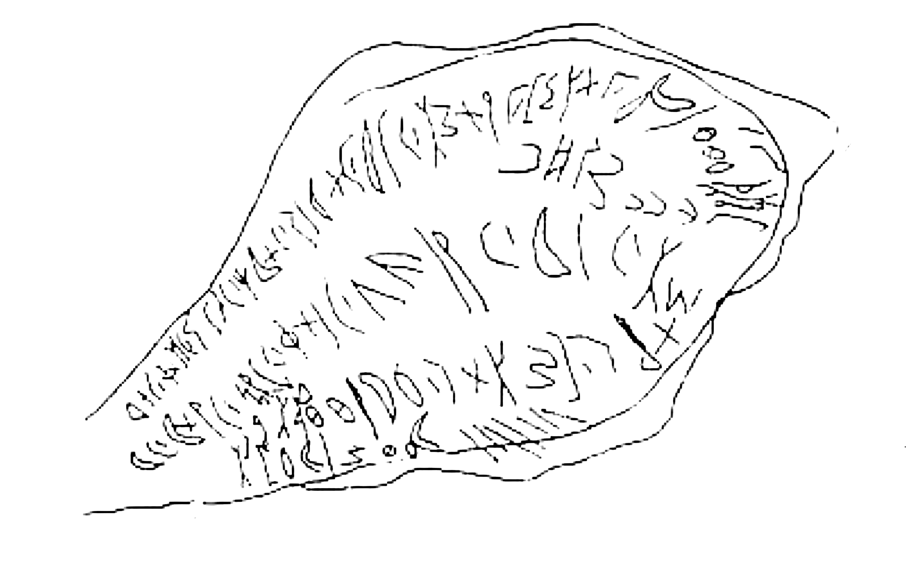 inscription of siglum SSWS 196