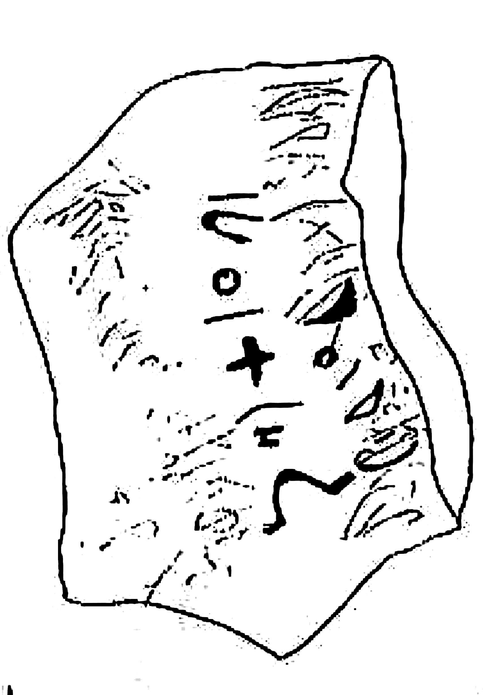 inscription of siglum SSWS 217