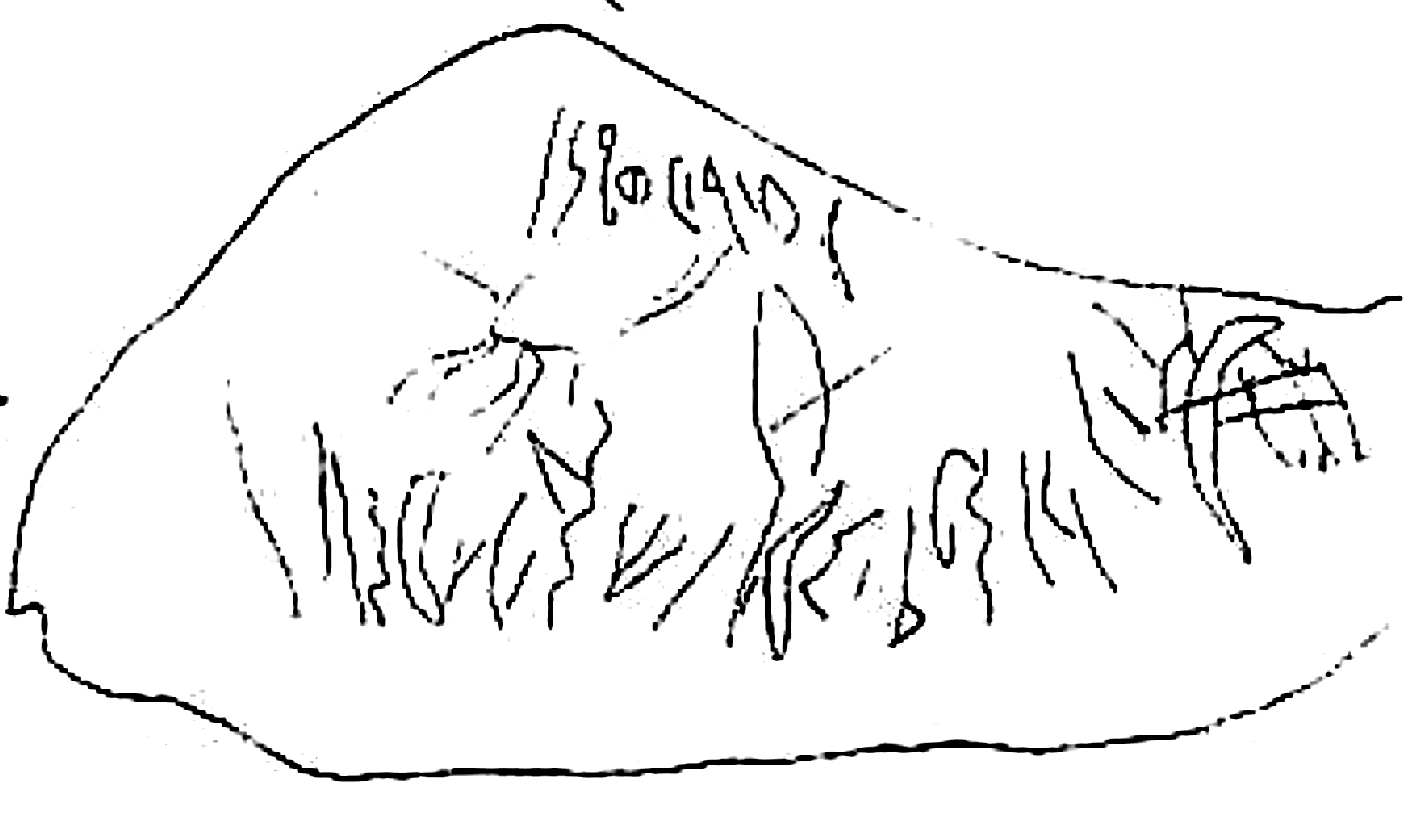 inscription of siglum SSWS 230