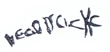 inscription of siglum SSWS 260