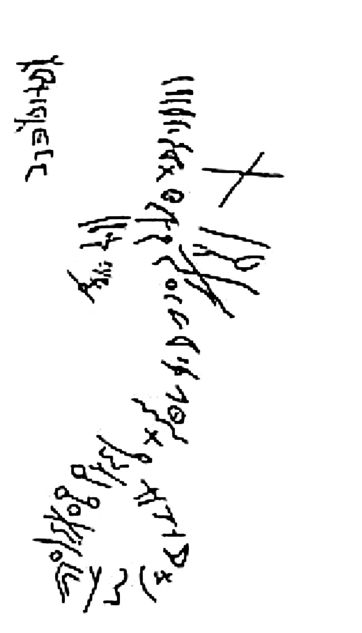 inscription of siglum SSWS 264