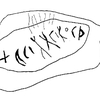 inscription of siglum SSWS 296