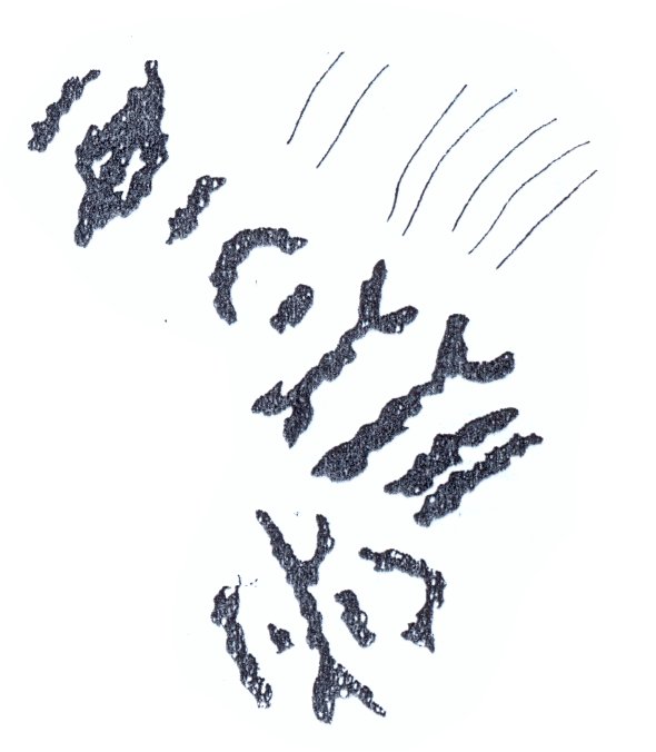 inscription of siglum SSWS 320