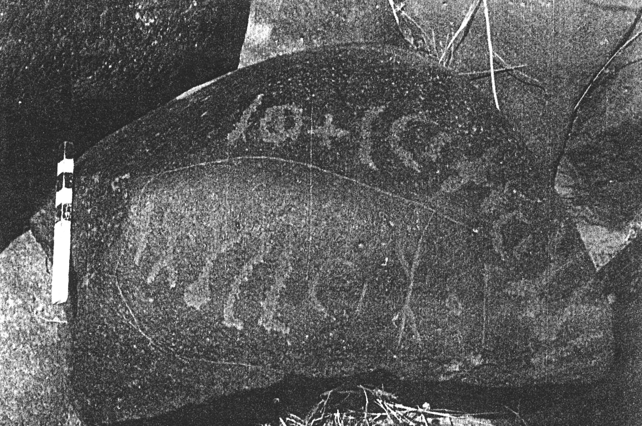 inscription of siglum SSWS 323