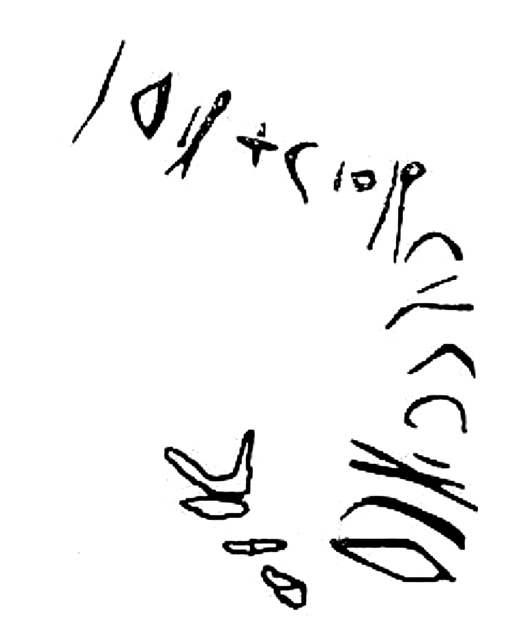 inscription of siglum SSWS 335