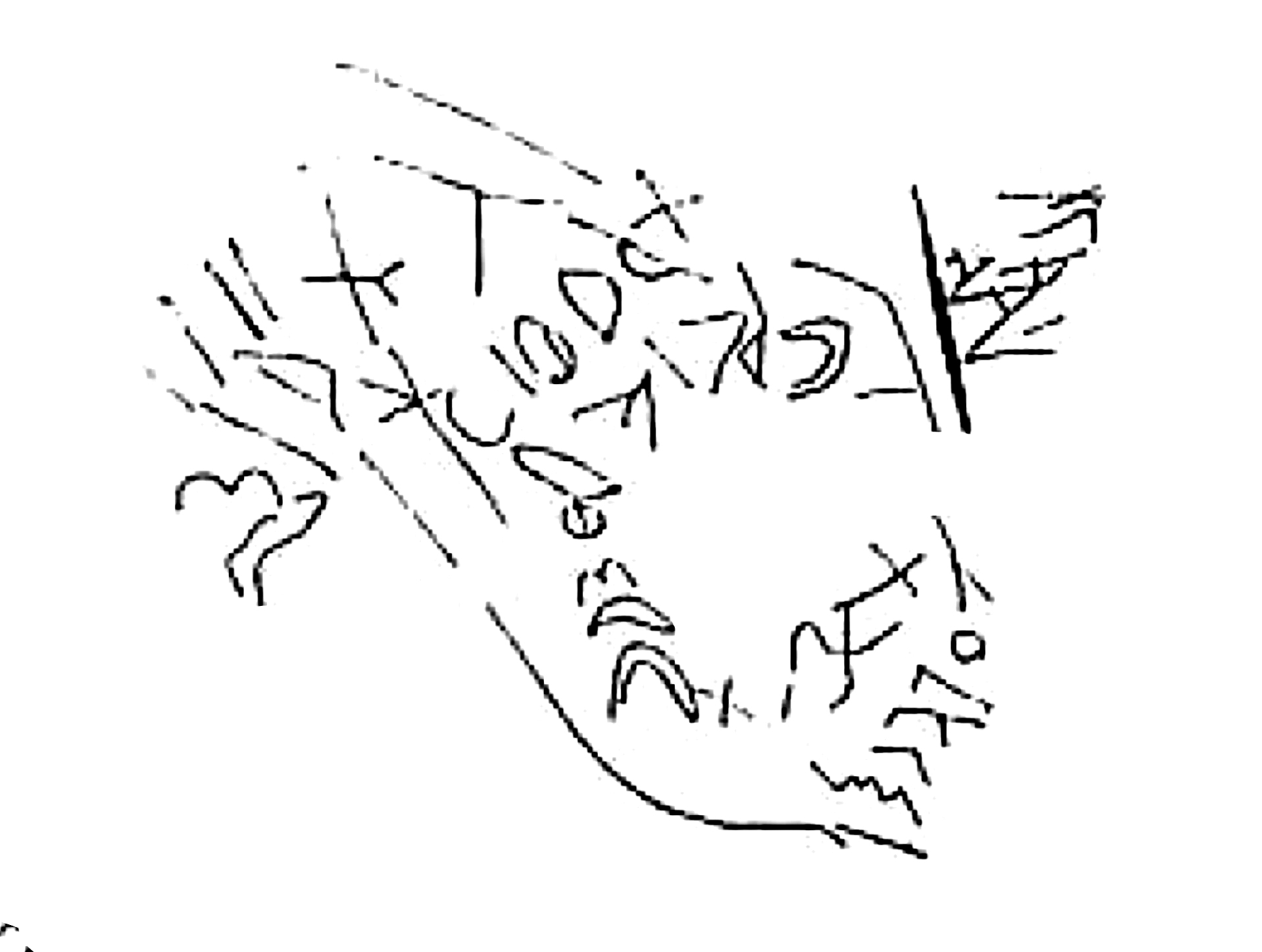 inscription of siglum SSWS 341