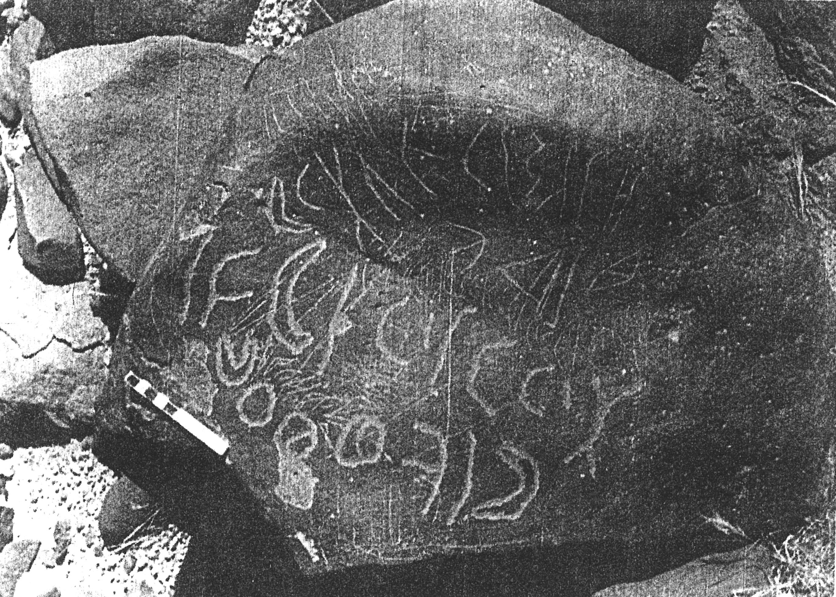 inscription of siglum SSWS 351