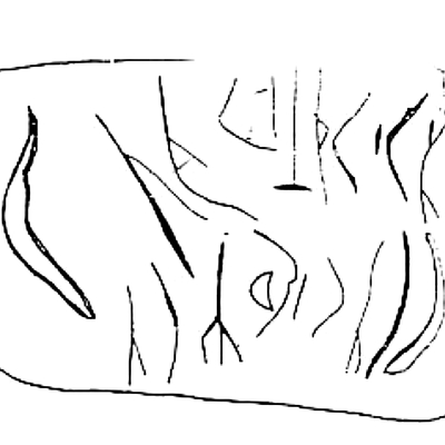 inscription of siglum SSWS 355