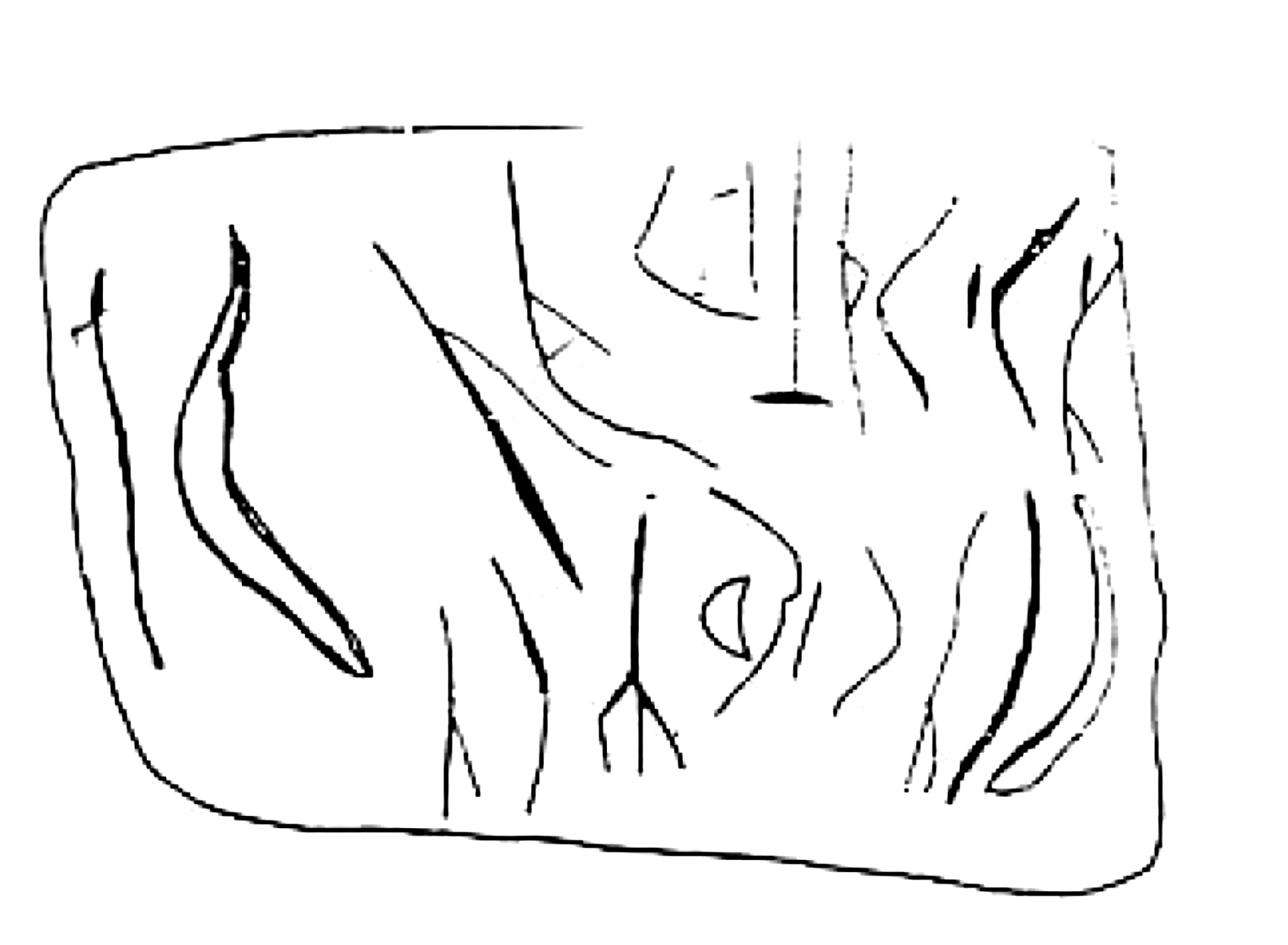 inscription of siglum SSWS 355