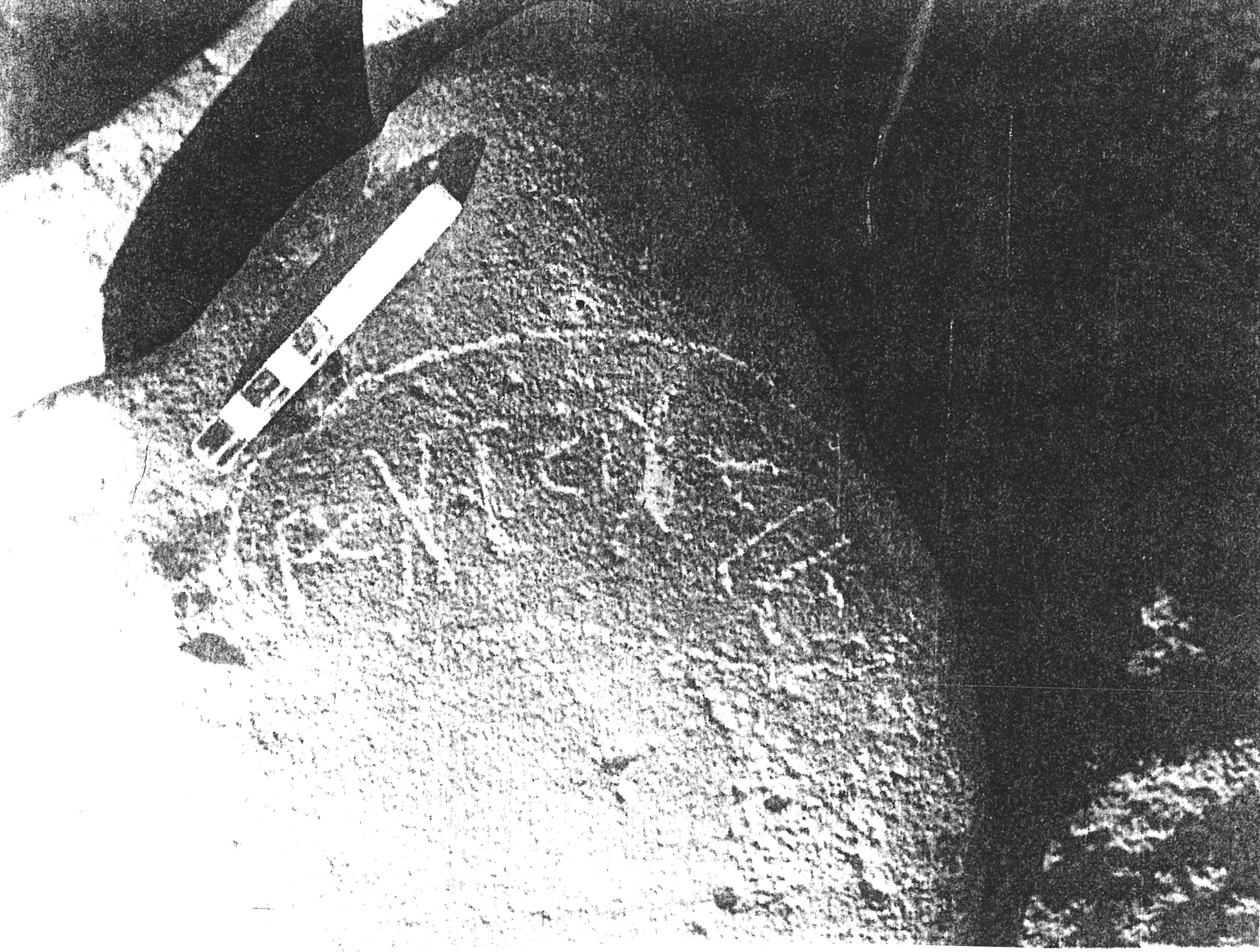 inscription of siglum SSWS 360