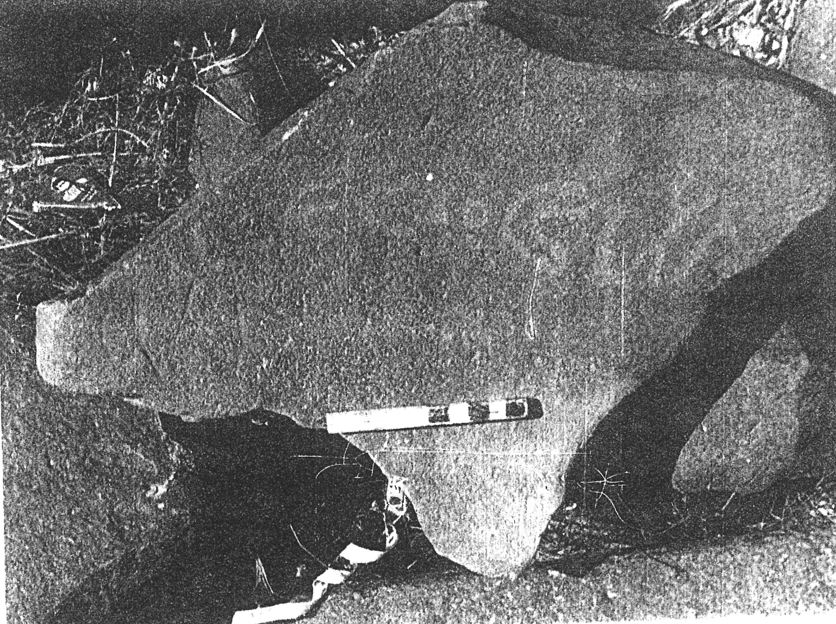 inscription of siglum SSWS 98