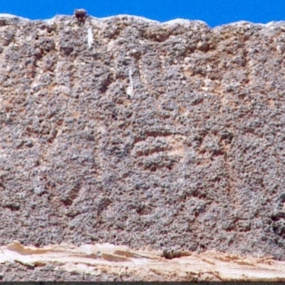 inscription of siglum SaDM Wādī al-Zaʿtarī 4.2