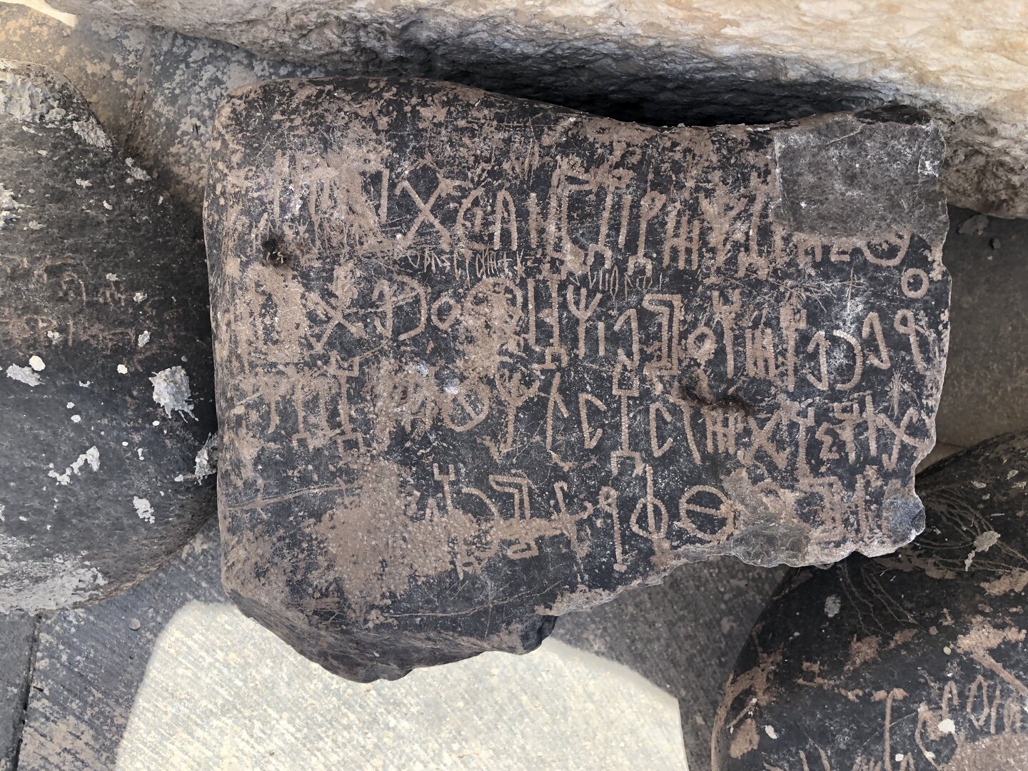Image of ShNGA 1