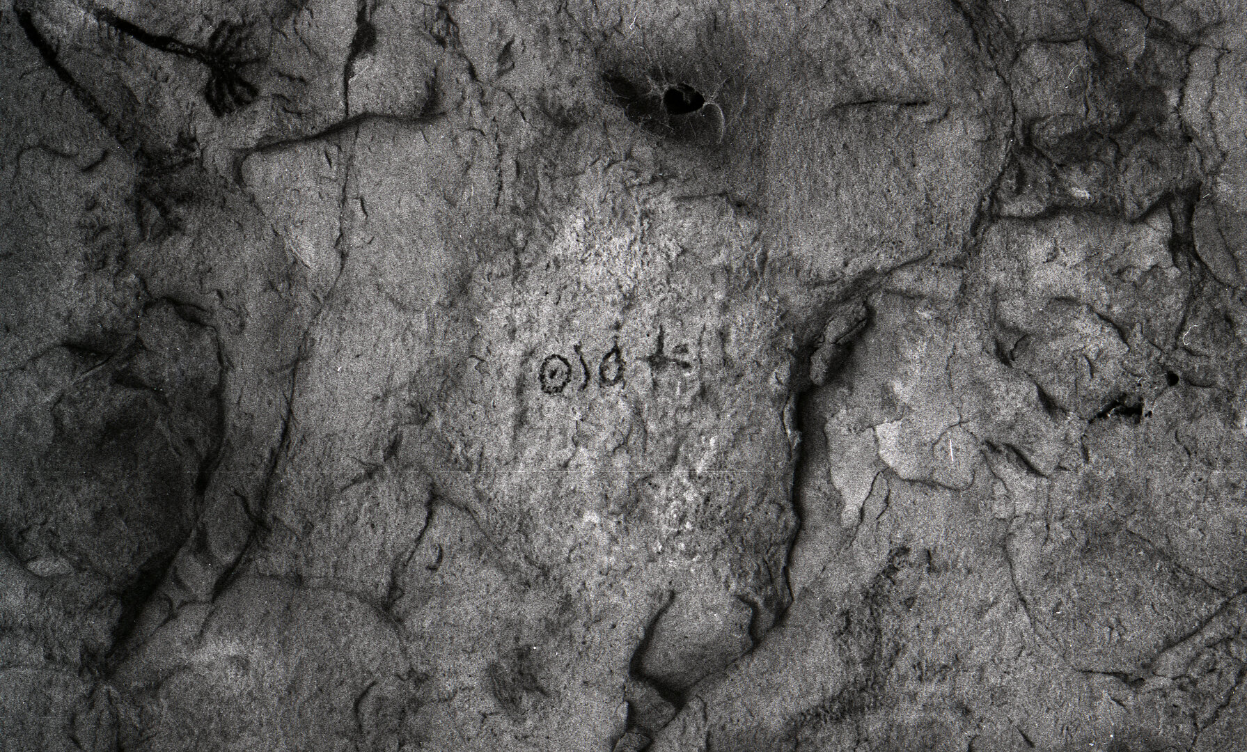 Image of Shahri 1