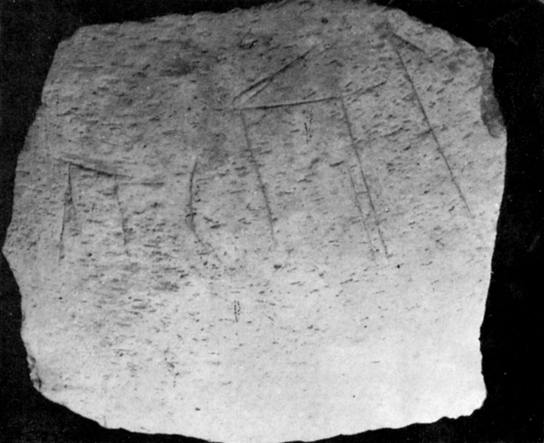 inscription of siglum Sherd from Tell Abu Salabiḥ