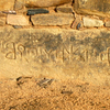 inscription of siglum TA. 09302