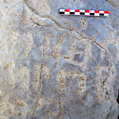 inscription of siglum TA. 09901