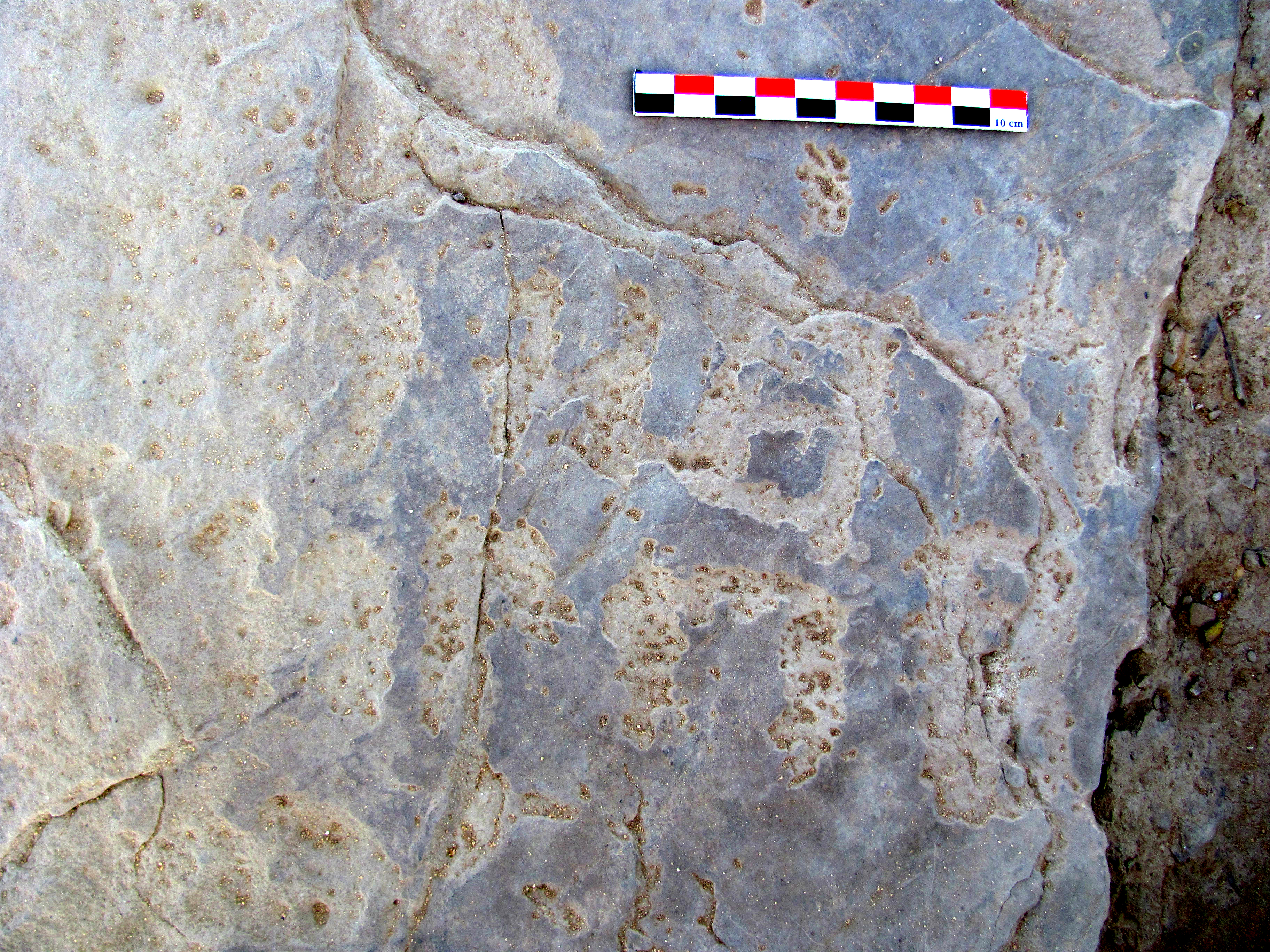 inscription of siglum TA. 09901