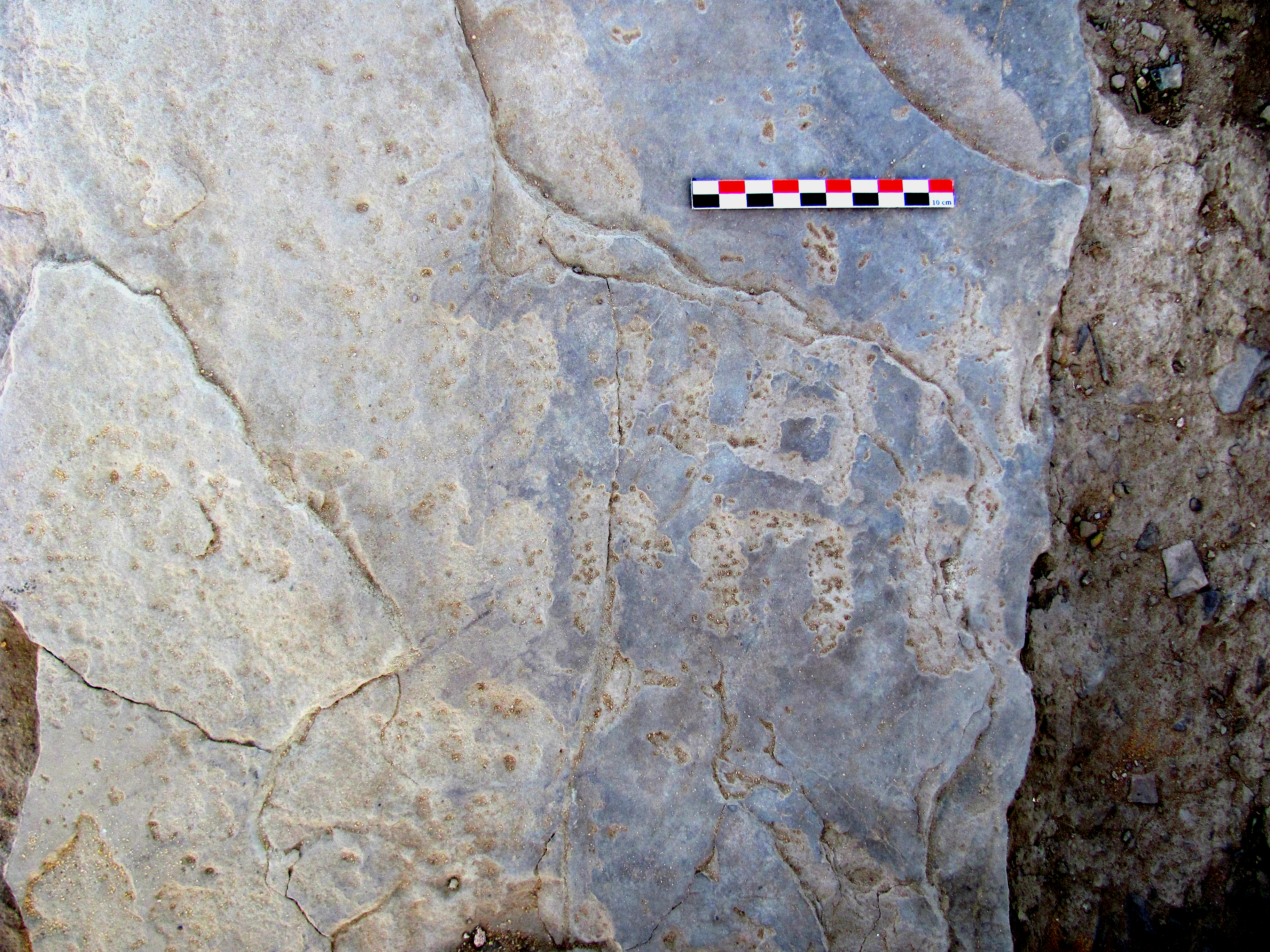 inscription of siglum TA. 09901