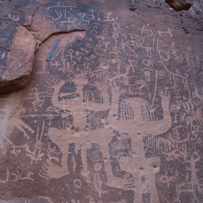 Image of TES22_HA1 1