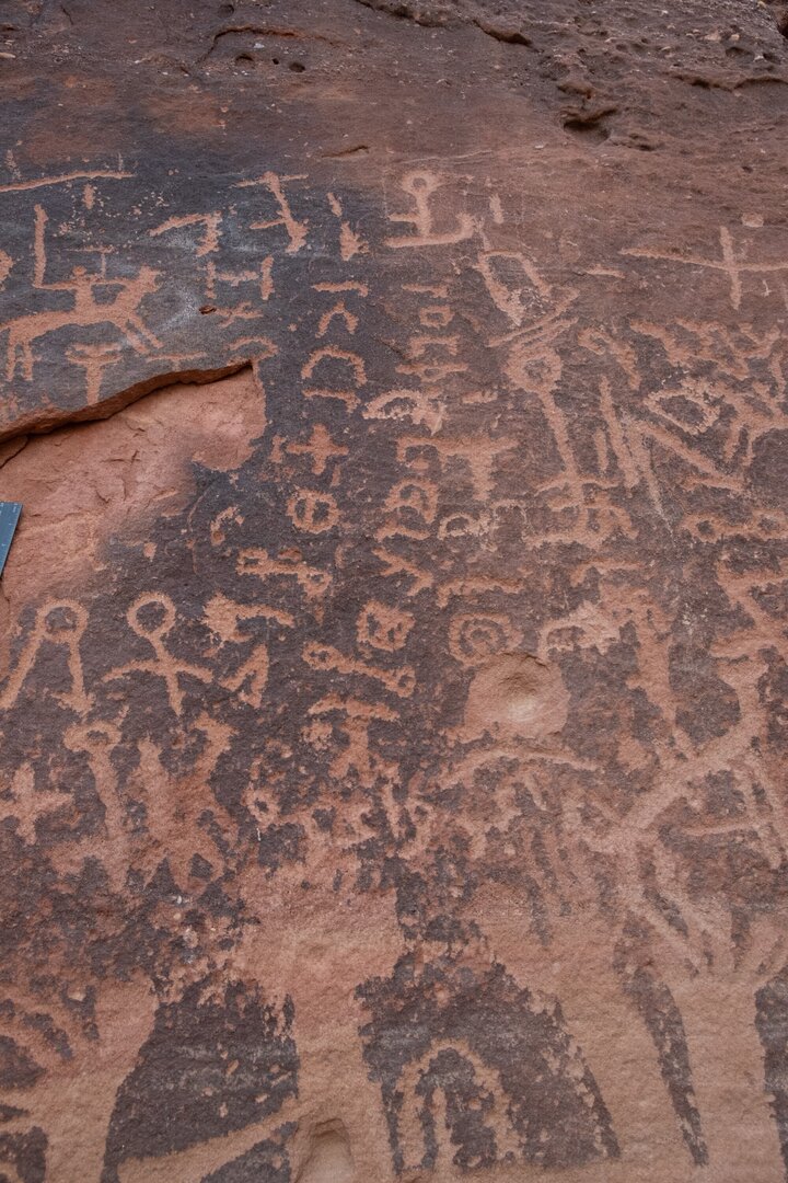 Image of TES22_HA1 1