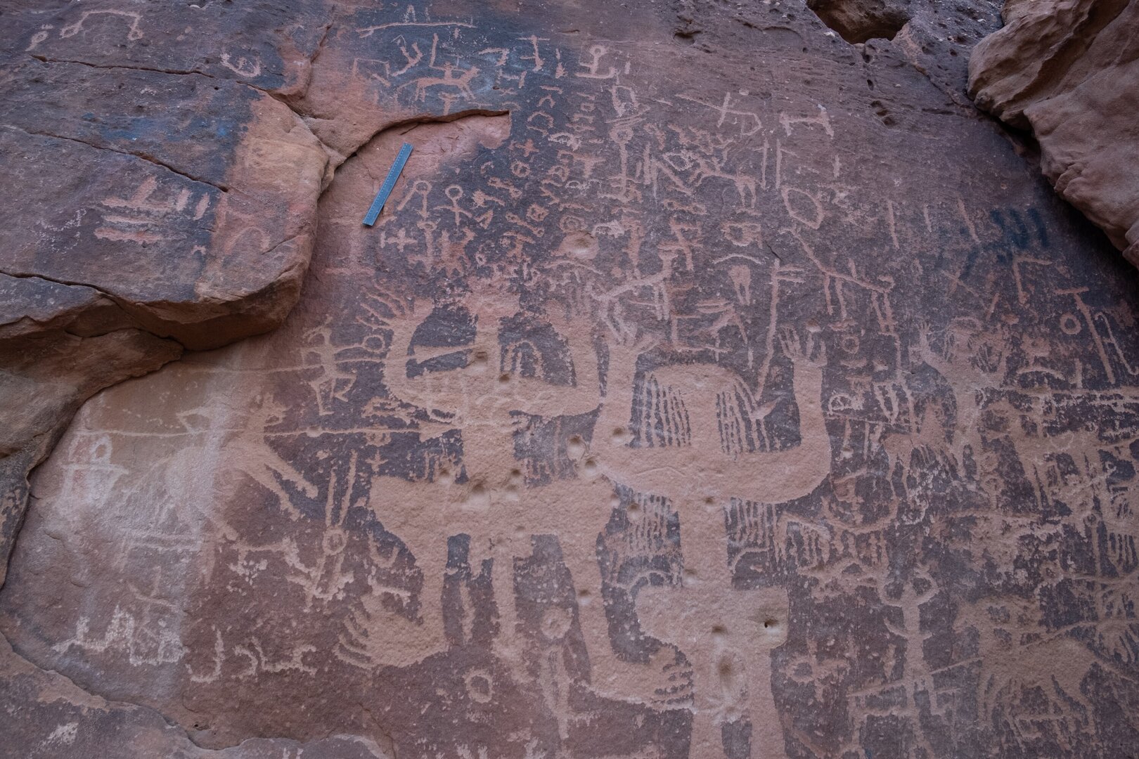 Image of TES22_HA1 1